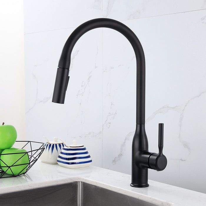 F98  Kitchen Faucet