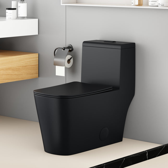 A09 Siphonic one-piece toilet 6/4.2 Litre 28"*14-1/8"*29-1/8"