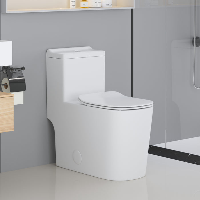 A10 Siphonic one-piece toilet 6/4.2 Litre 27"*13-2/3"*29-1/8"