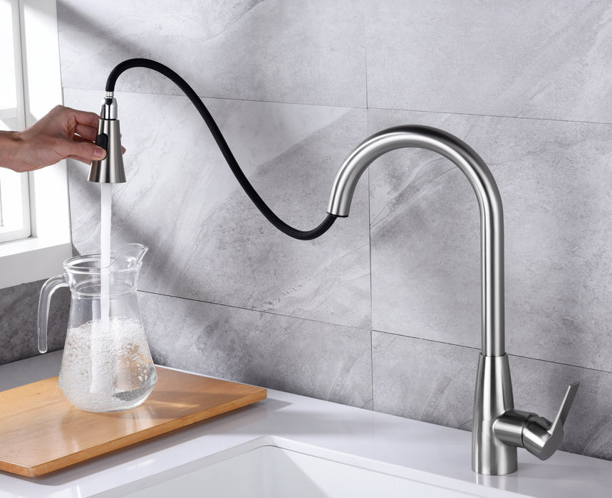 F69  Kitchen Faucet