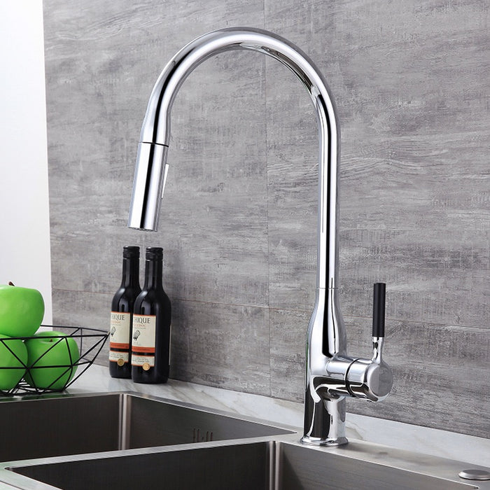 F98  Kitchen Faucet